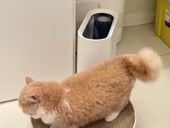 -联合动物医院(光谷诊疗中心)