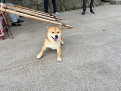 -九华山风景区月身宝殿