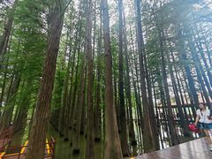 -采石矶景区