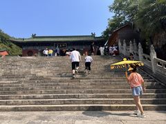 -中原大佛景区