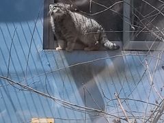 -青藏高原野生动物园