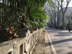 -武汉大学-樱园