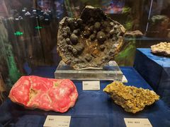 -国家自然博物馆