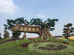 -长廊欢乐园