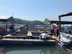 -海上驿站渔家菜馆