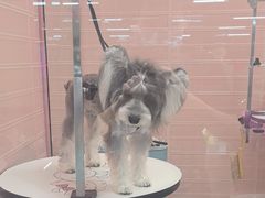 -FAELING PETS美天灵宠物(合生汇店)