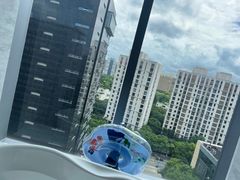 -上海虹桥祥源希尔顿酒店