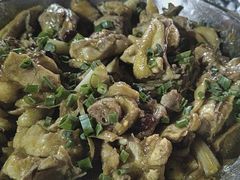 -鲤鱼塘农家山庄