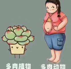 -Fundi张玉珊修身堂·indiba·BTL科技瘦身