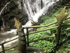 -莫里热带雨林景区
