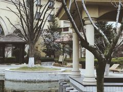 -青岛香根温泉酒店
