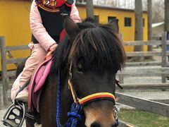 -前小桔亲子创意农场·草莓采摘·露营烧烤