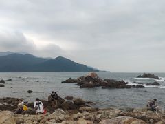 -西涌国际滨海旅游区