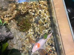 -新盈光·旗舰店(海曙苍松路店)