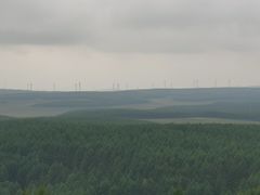 -塞罕坝国家级自然保护区