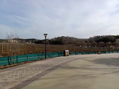 -北京张裕爱斐堡酒庄