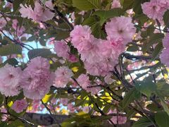 -幕燕滨江·燕子矶公园