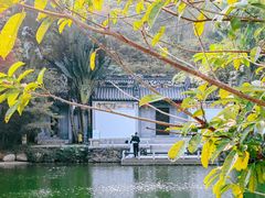 -深圳国际园林花卉博览园