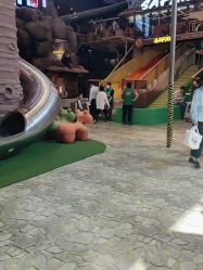 -卡通尼·Safari非洲探索乐园·生日会(金桥国际商业广场店)