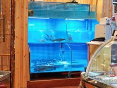 -田家大院东北农家菜铁锅炖(西安总店)