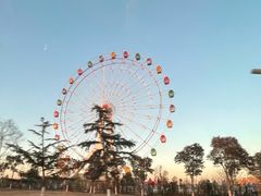 -金沙湖旅游度假区