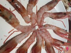 -初色海鲜自助(新辰里亚运村店)