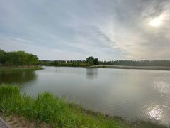 -东郊湿地公园