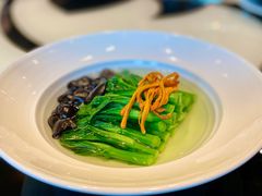 泉水木耳浸有机菜心-广州文华东方酒店·江-由辉师傅主理