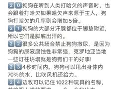 -宠爱国际动物医院· 猫科· 外科·中兽医(长白店)