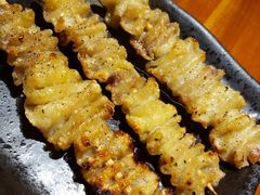 鸡皮-串鑫