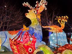 -大连老虎滩海洋公园