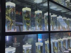 -广东中医药博物馆