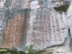 -铁山坪森林公园