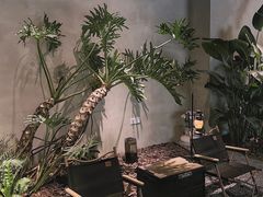 -J Create城市露营咖啡·简餐·宠物(上海动物园店)