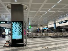 -米兰马尔彭萨国际机场