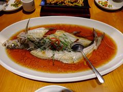 -丹江渔村(望京店)