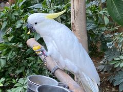 -南宫五洲植物乐园