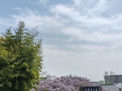 -巢湖姥山岛