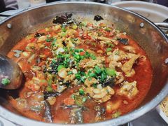 牛蛙火锅-壹盏灯(惠农店)