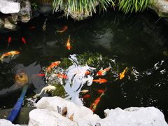 -莹珠阁·私房菜