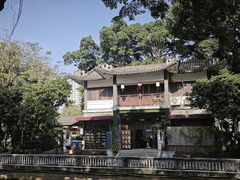 -荔湾湖公园