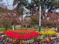 -南山植物园