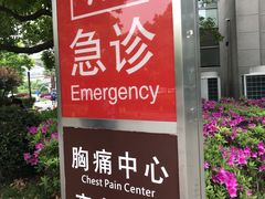 -上海中医药大学附属曙光医院(东部)