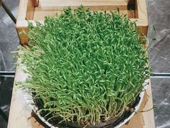 -好彩猪肚鸡(正弘城店)
