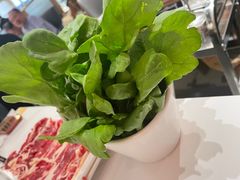 -犇鼎牛潮汕牛肉火锅(新辰里学清路店)