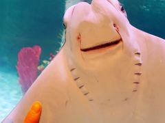 -沈阳海洋探索中心