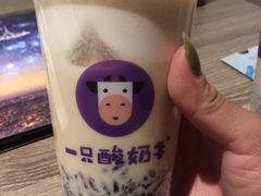 -一只酸奶牛(八一路店)