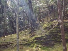 -西芳寺(苔寺)