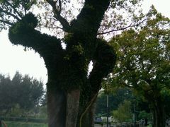 -龙环葡韵住宅式博物馆