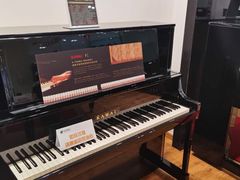 -柏斯琴行(汾阳店)